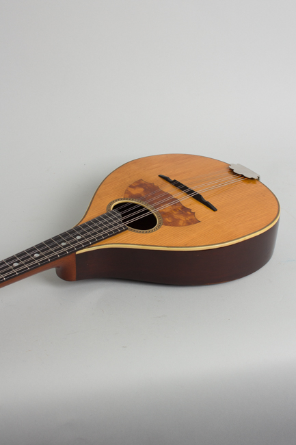 Vega Style 201 Flat Back, Bent Top Mandolin (1916)