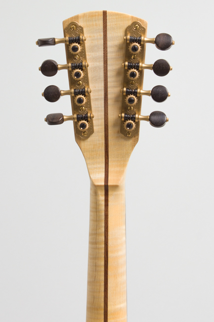 Round Acoustic Mandolin (2025)