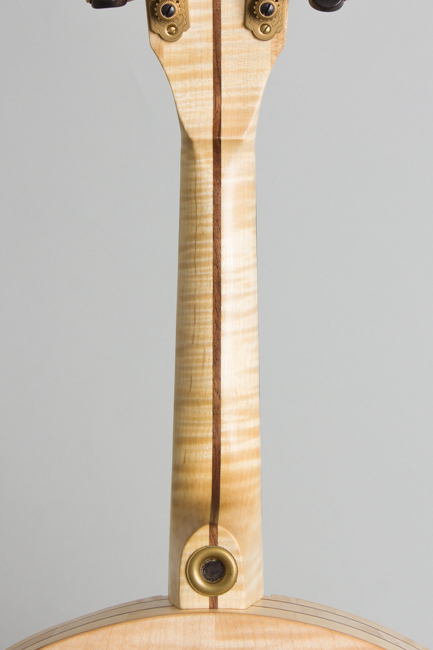 Round Acoustic Mandolin (2025)