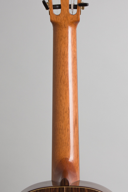 Ross Gutmeier  Classical Guitar  (2016)