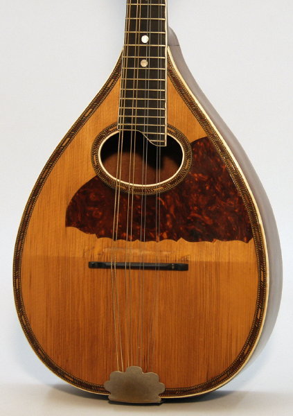  Flat Back Mandolin, most likely made by Harmony ,  c. 1925
