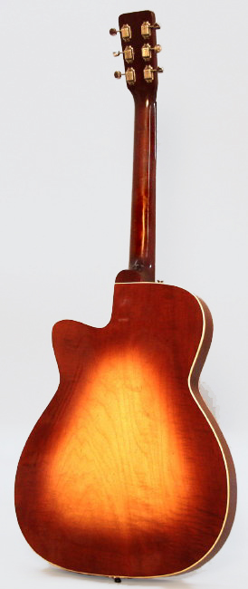 C. F. Martin  F-55 Thinline Hollow Body Electric Guitar  (1961)