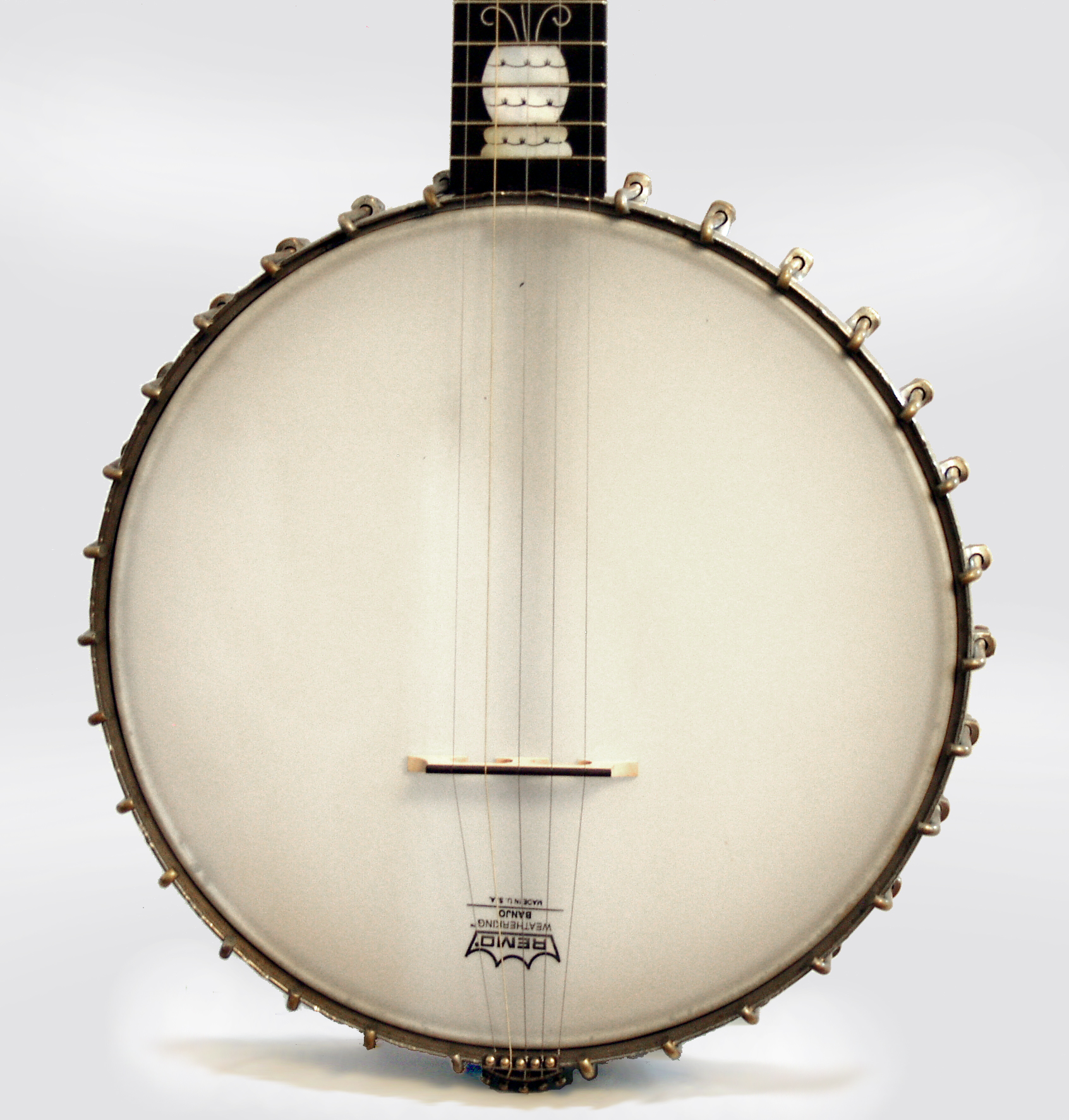Acme professional 5 string banjo made by s s stewart c 1897