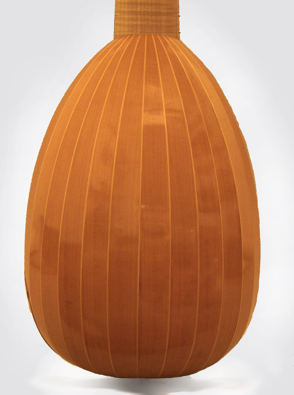 Jason Petty Hieber Model 8 Course Renaissance Lute (2007) RetroFret