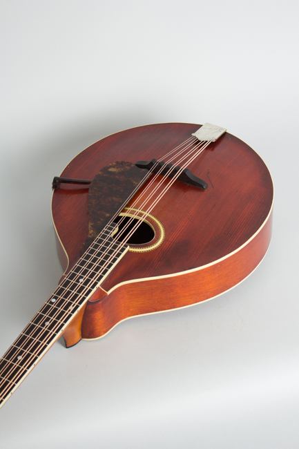 Gibson  K-2 Carved Top Mandocello  (1914)