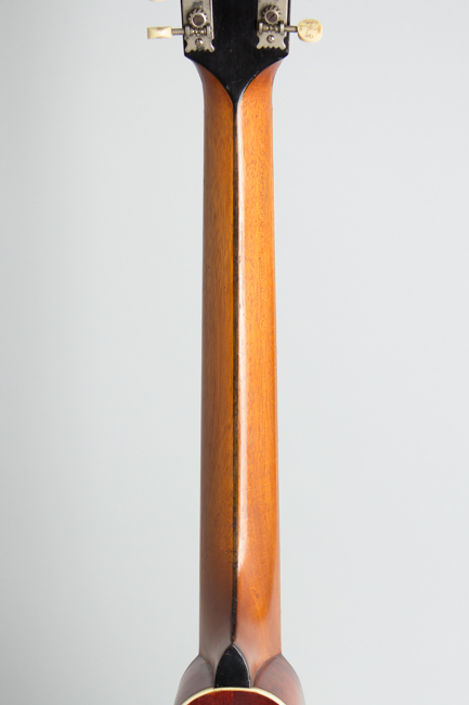 Gibson  K-2 Carved Top Mandocello  (1914)