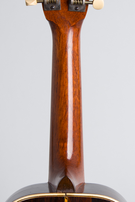  American Conservatory Mandolinetto,  made by Lyon & Healy ,  c. 1912