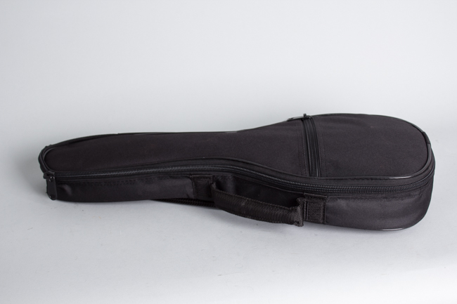  American Conservatory Mandolinetto,  made by Lyon & Healy ,  c. 1912