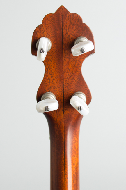 Bart Reiter  Standard Fretless 5 String Banjo  (2000)