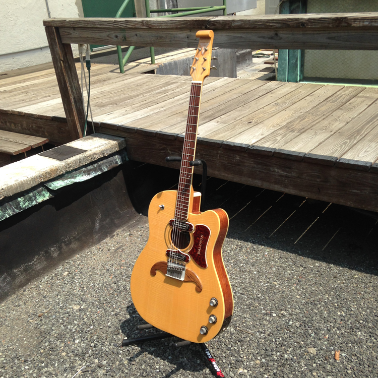 Baldwin - Burns  Virginian Semi-Hollow Body Electric Guitar  (1965)