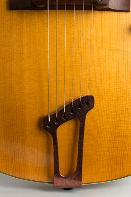 Ken Parker  Custom Arch Top Semi-Hollow Body Electric Guitar  (1991)