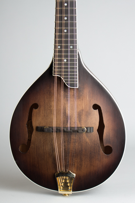 Gold Tone  GM-Custom Arch Top Mandolin  (2014)