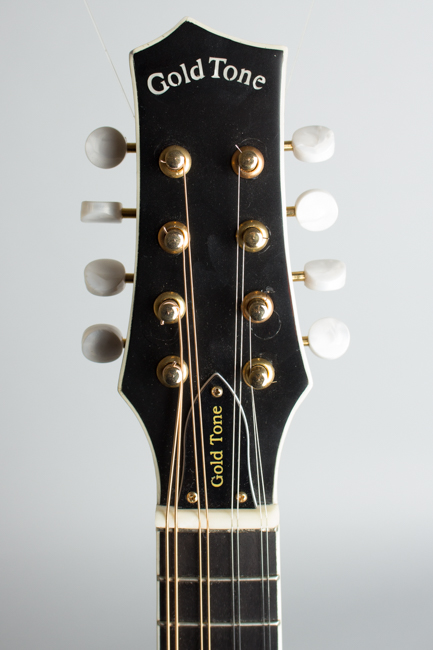 Gold Tone  GM-Custom Arch Top Mandolin  (2014)
