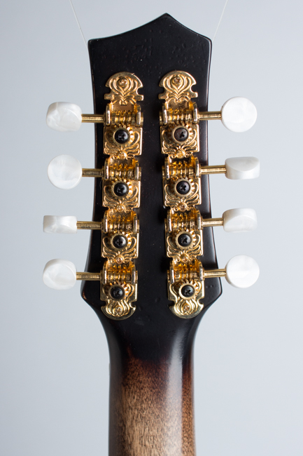 Gold Tone  GM-Custom Arch Top Mandolin  (2014)