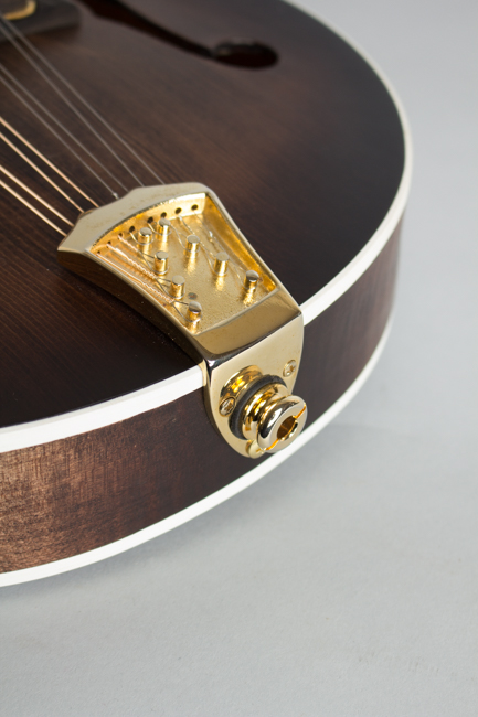 Gold Tone  GM-Custom Arch Top Mandolin  (2014)