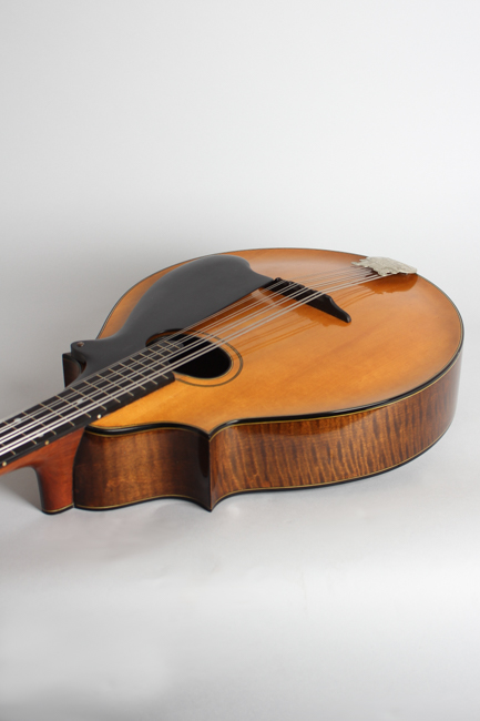  Washburn Style 5310 Carved Top Mandocello, made by Lyon & Healy ,  c. 1925