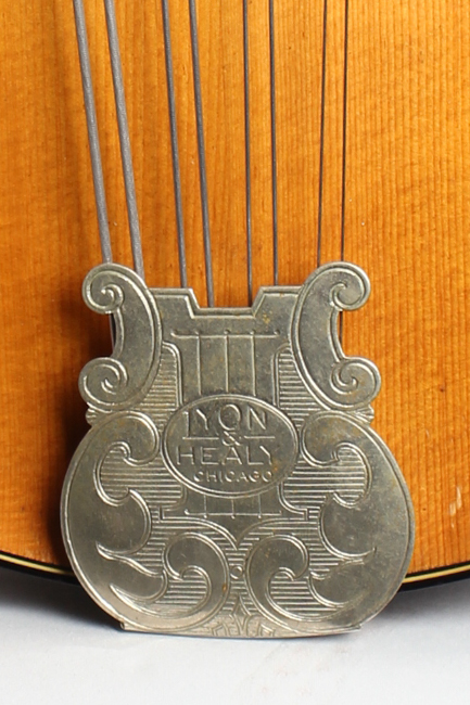  Washburn Style 5310 Carved Top Mandocello, made by Lyon & Healy ,  c. 1925