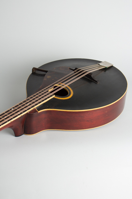 Gibson  K-2 Carved Top Mandocello  (1911)