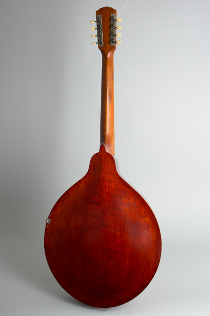 Gibson  K-1 Carved Top Mandocello  (1914)