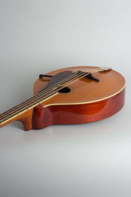 Gibson  K-1 Carved Top Mandocello  (1914)