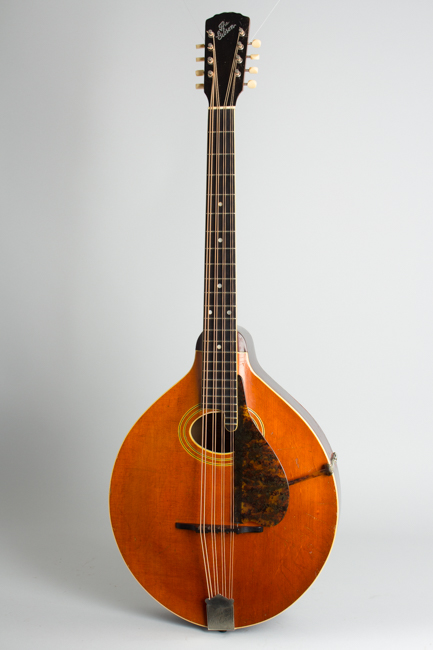 expand image Gibson K-1 Carved Top Mandocello (1917)