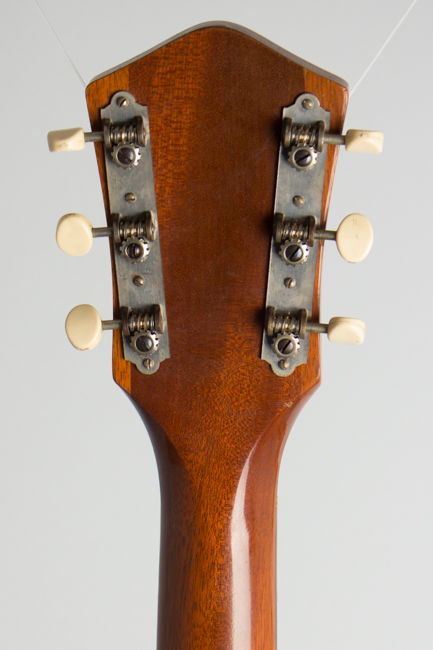 Harmony  Patrician Arch Top Acoustic Guitar  (1961)