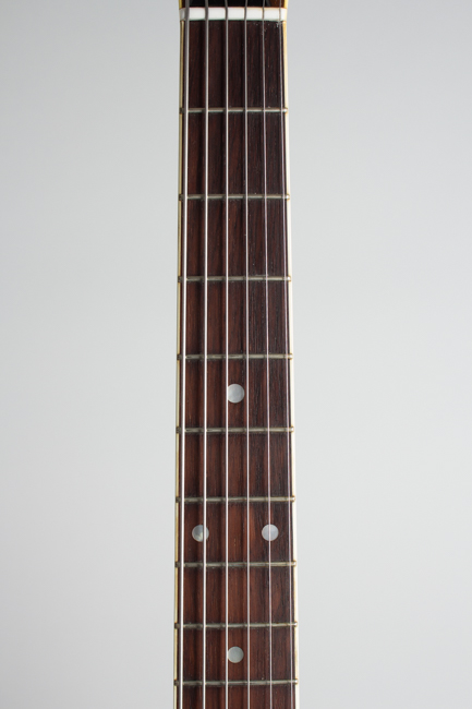 C. F. Martin  GT-75 Thinline Hollow Body Electric Guitar  (1967)