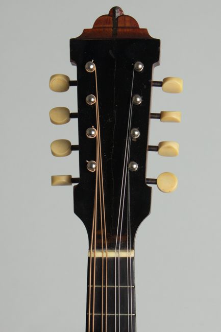 Lyon & Healy  Style B Carved Top Mandolin ,  c. 1919