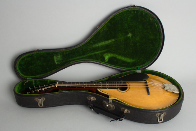 Lyon & Healy  Style B Carved Top Mandolin ,  c. 1919