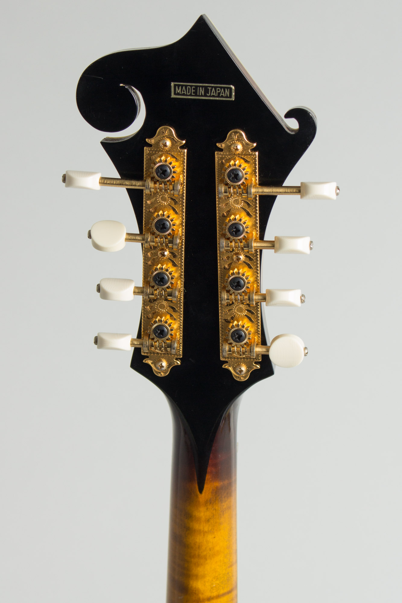 The Kentucky KM-1500 Arch Top Mandolin (1984) | RetroFret