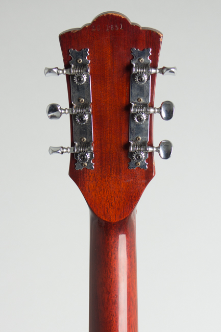 Guild  F-20NT Flat Top Acoustic Guitar  (1967)