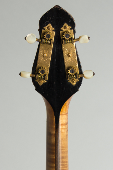 Gibson  TB-5 Tenor Banjo  (1923)