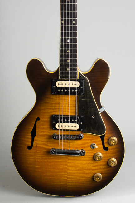 Steve Carr  Mini-335 Owned and used by Elliott Sharp Semi-Hollow Body Electric Guitar (1981)