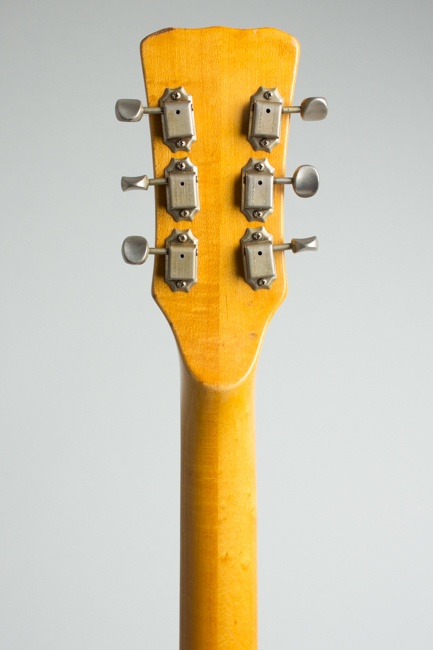 Mosrite  Californian D-100 Owned and Used by Elliott Sharp Resophonic Electric Guitar (1967)
