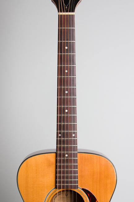 Guild  F-20NT Flat Top Acoustic Guitar  (1968)