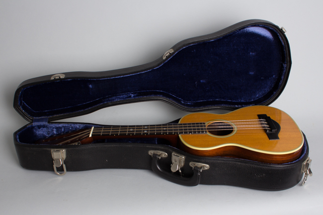 C. F. Martin  T-28 Tiple  (1970)