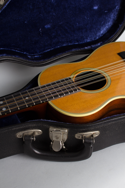C. F. Martin  T-28 Tiple  (1970)