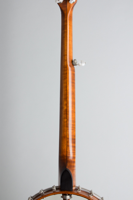 Mike Ramsey  5 String Banjo  (2008)