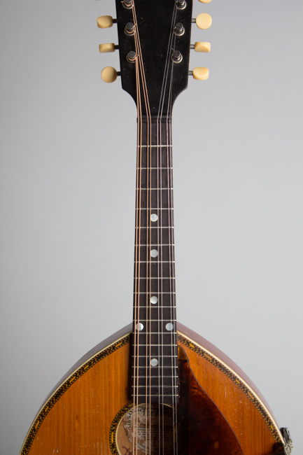 Gibson  Alrite Style D Flat Top Mandolin  (1917)